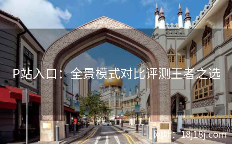 P站入口：全景模式对比评测王者之选