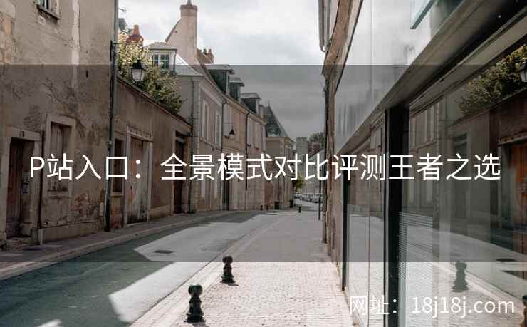 P站入口：全景模式对比评测王者之选