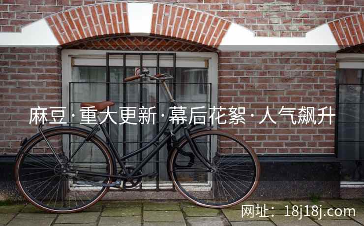 麻豆·重大更新·幕后花絮·人气飙升