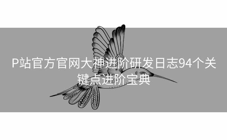 P站官方官网大神进阶研发日志94个关键点进阶宝典