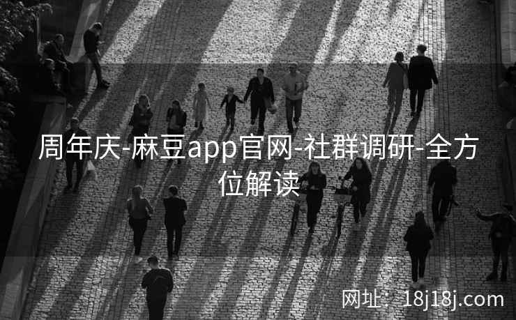 周年庆-麻豆app官网-社群调研-全方位解读