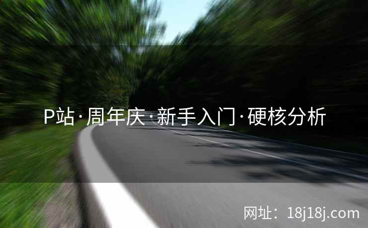 P站·周年庆·新手入门·硬核分析