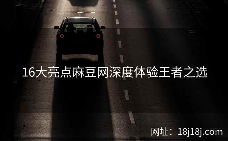 16大亮点麻豆网深度体验王者之选