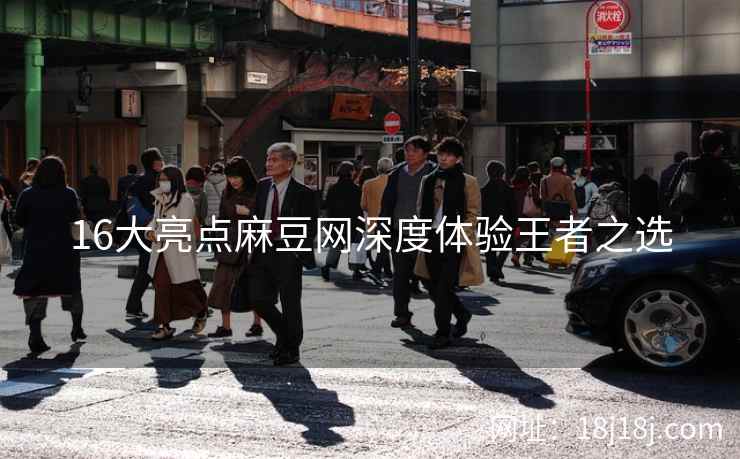 16大亮点麻豆网深度体验王者之选