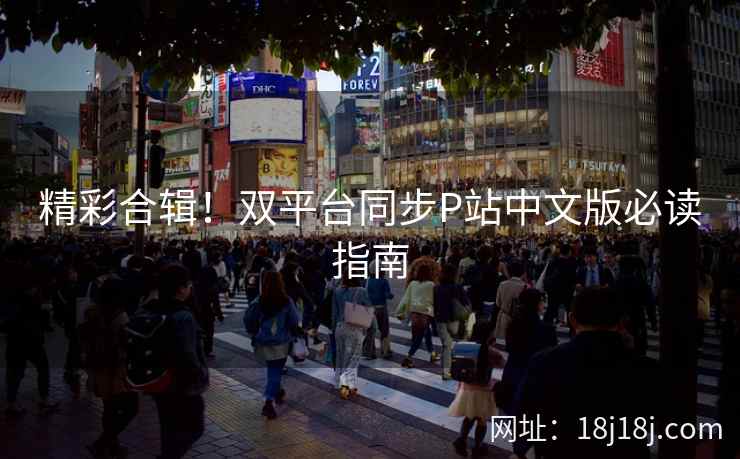 精彩合辑！双平台同步P站中文版必读指南