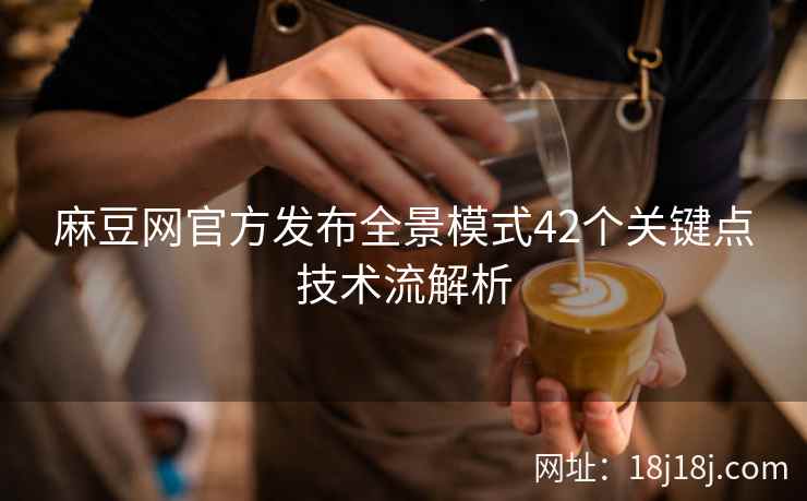 麻豆网官方发布全景模式42个关键点技术流解析