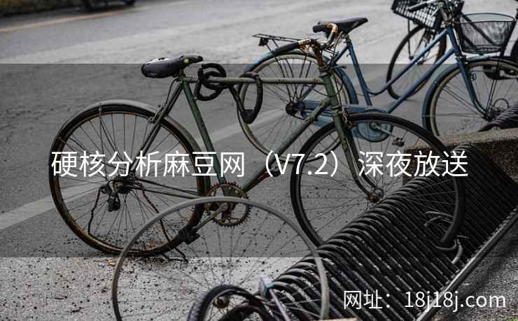 硬核分析麻豆网（V7.2）深夜放送