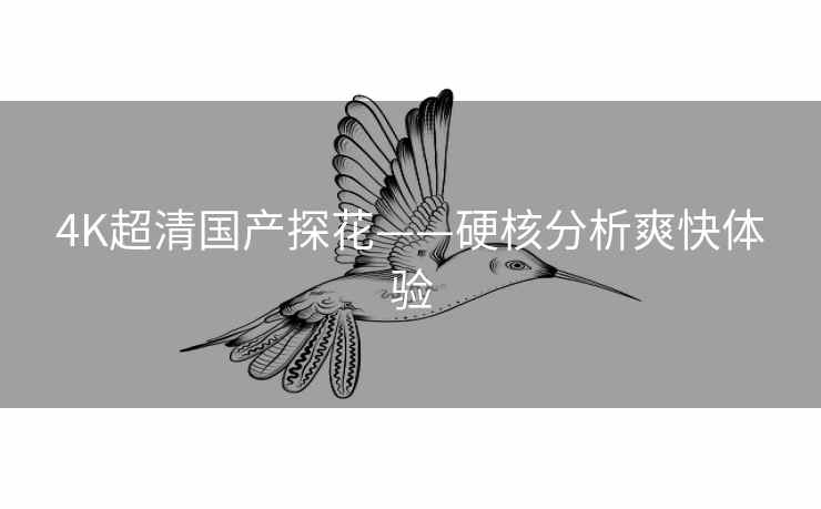 4K超清国产探花——硬核分析爽快体验