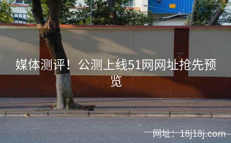 媒体测评！公测上线51网网址抢先预览