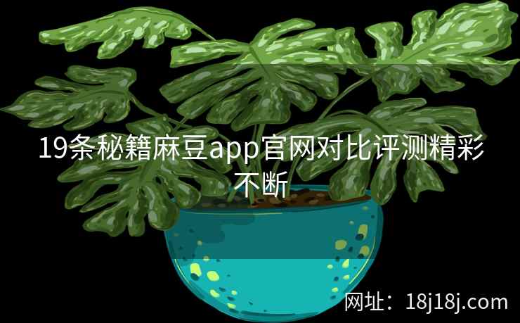 19条秘籍麻豆app官网对比评测精彩不断