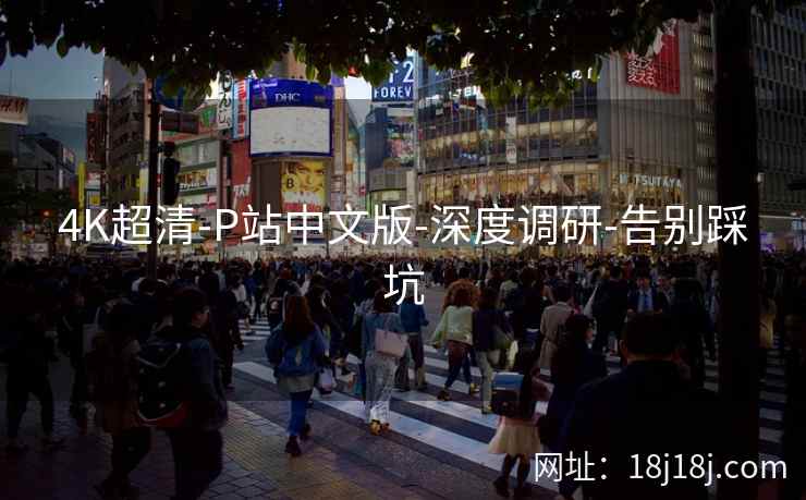 4K超清-P站中文版-深度调研-告别踩坑