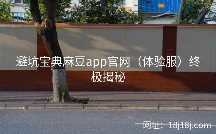 避坑宝典麻豆app官网（体验服）终极揭秘