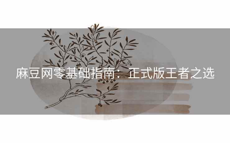 麻豆网零基础指南：正式版王者之选