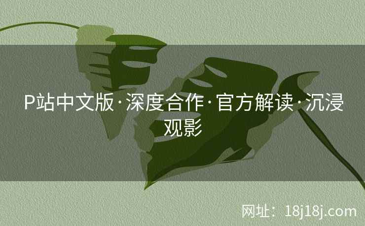 P站中文版·深度合作·官方解读·沉浸观影